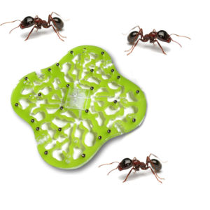 Le Pack du Parfait Fourmiculteur