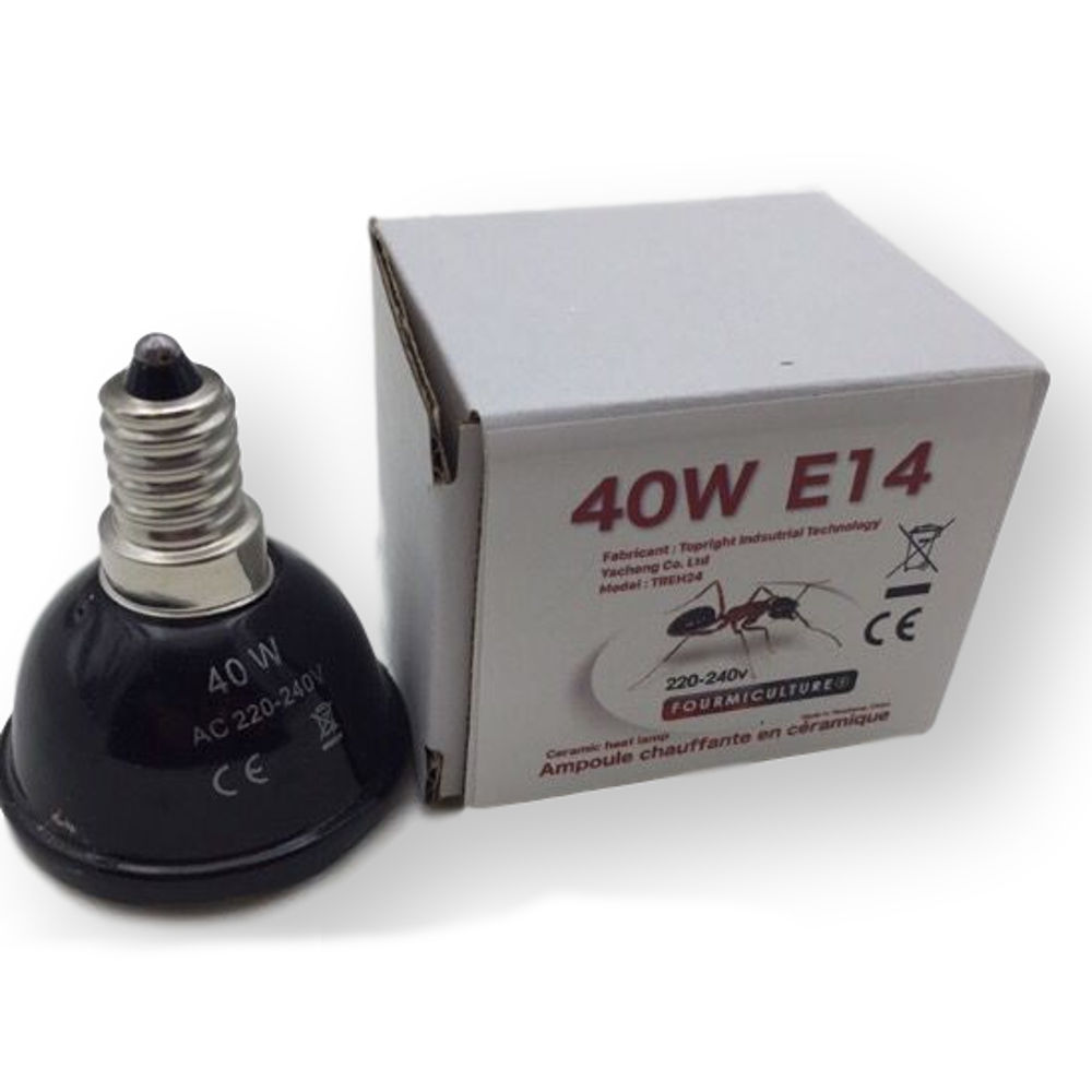 Mini-Ampoule Céramique chauffante 40w E14 - Fourmiculture
