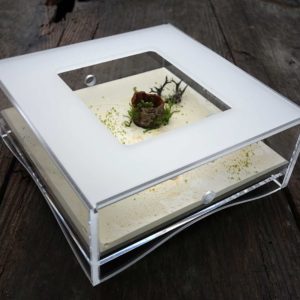 Cadre anti-évasion 15x15cm