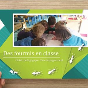 Fiche pédagogique Fourmis en Classe – Et support e-mail