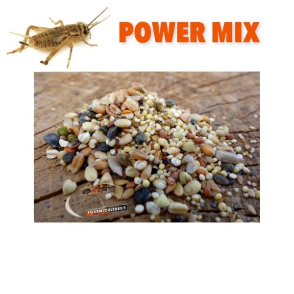 Power Mix 100gr - Grillons et graines pour Messor