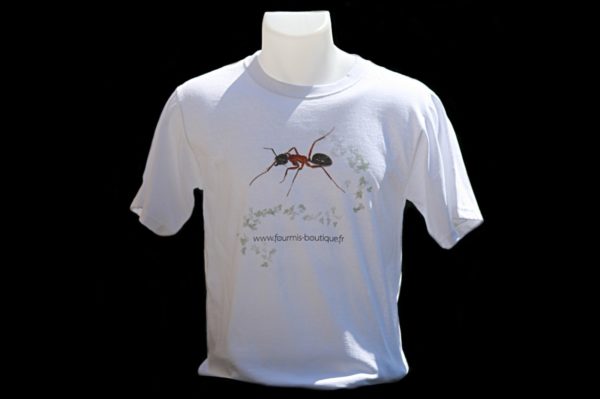 T-shirt Fourmis Boutique