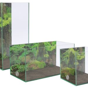 Photo d’arrière plan verticale 30x60cm Forêt Tropicale