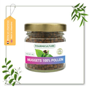 Nuggets 100% Pollen – Fourmiculture – 20gr