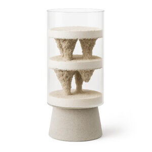 Fourmiculture Ant Caver 5x10cm – Island Concept