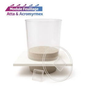 Plateforme de Nourrissage Island Concept 12x10cm – Fourmiculture