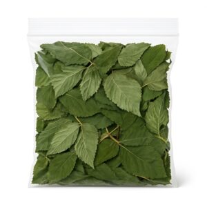 Sachet Feuilles de Ronces Fraîches